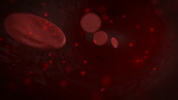 Le cellule del sangue 3D viaggiano attraverso una vena. All'interno di un vaso sanguigno umano animazione scientifica. Intossicazione del sangue . — Video Stock