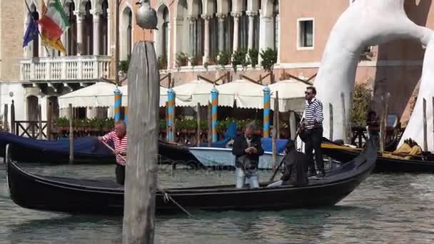 VENISE, ITALIE - OCTOBRE 2017 : Majestueux grand canal de Venise, et le trafic maritime, Venise, Italie. Gondole dans un canal à Venise Italie — Video