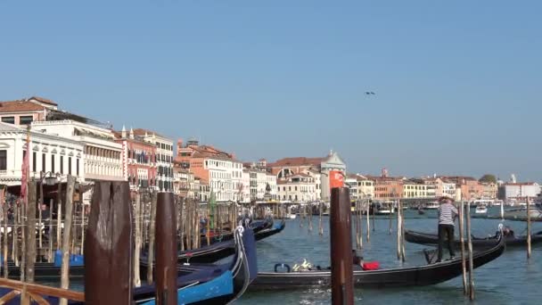 베니스, 이탈리아-10 월 2017: 장엄한 그랜드 운하 베니스, 그리고 물 트래픽, 베니스, 이탈리아. 베니스는 이탈리아 북동부 베네토 지역의 자본에 도시. — 비디오