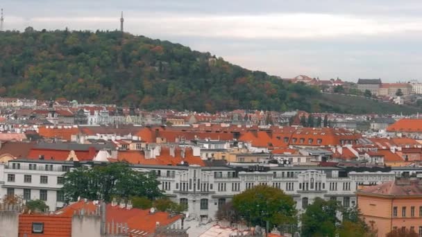 Aerial view of the Old Town architecture with red roofs in Prague , Czech Republic. St. Vitus Cathedral in Prague. — Stock Video