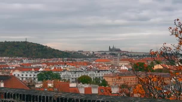 Çek Cumhuriyeti Prag 'da kırmızı çatıları olan Eski Şehir mimarisinin havadan görünüşü. Prag 'daki St. Vitus Katedrali. — Stok video