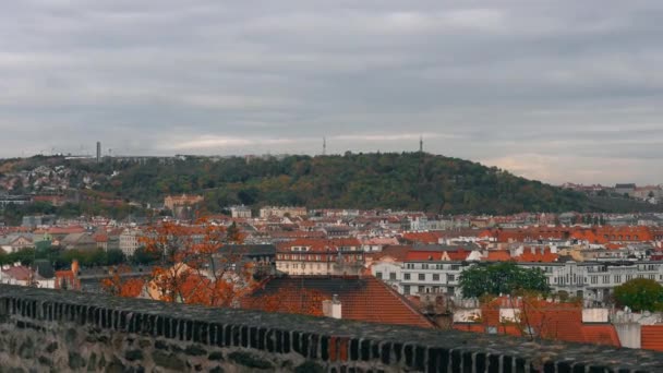 Vue aérienne de l'architecture de la vieille ville avec des toits rouges à Prague, République tchèque. Cathédrale Saint-Vitus à Prague. — Video