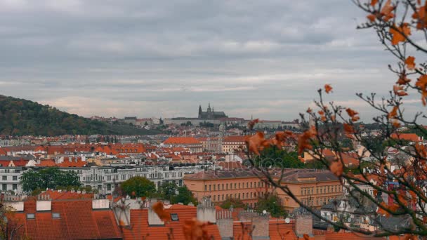 Flygfoto över Gamla stan arkitektur med röda tak i Prag, Tjeckien. St. Vitus-katedralen i Prag. — Stockvideo