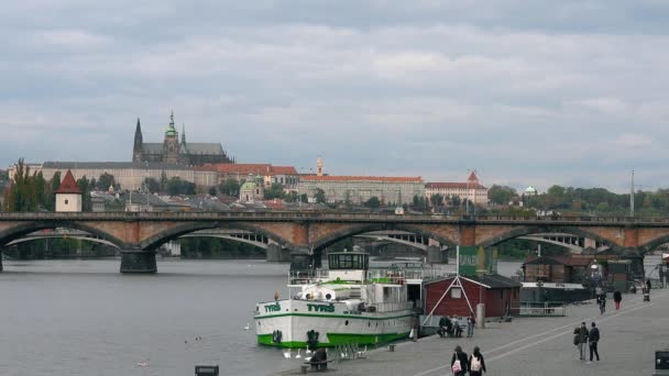 Prague, République tchèque - OCTOBRE 2017 : Cygnes blancs au pont, rivière Vltava. panorama de la vieille ville, cygne, canard, République tchèque. Cygnes au pont, Prague, République tchèque . — Video