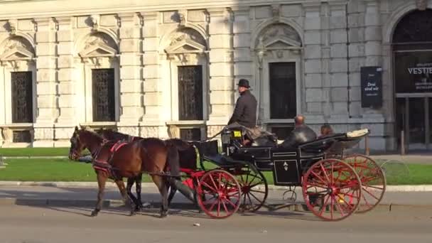 Βιέννη, Αυστρία - Νοεμβρίου 2017: Άλογο και μεταφορά που μεταφέρουν τους τουρίστες που επισκέπτονται την Βιέννη. Wien Βιέννη είναι η πρωτεύουσα και μεγαλύτερη πόλη της Αυστρίας και ένα από τα 9 μέλη της Αυστρίας. — Αρχείο Βίντεο