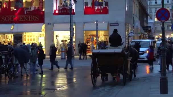 Wien, Österrike - November 2017: Häst och vagn som transporterar turister som besöker Vienna. Wien Wien är huvudstad och största stad i Österrike och en av de 9 staterna av Österrike. — Stockvideo