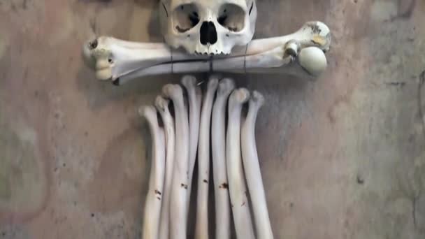 KUTNA HORA, Tjekkiet - JULI, 2015: Interiør af Benhus, Kostnice, Tjekkiet, Kutna Hora. Menneskelige skeletter, kranier og knogler . – Stock-video