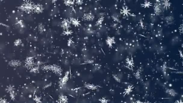 Noël et Nouvel An sans couture boucle animation. Flocons de neige de Noël sur fond bleu foncé. Merveilles hivernales flocons de neige magiques . — Video