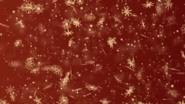 Jul och nyår sömlös loopande animation. Jul guld snöflingor på mörk röd bakgrund. Winter wonderland magiska snöflingor. — Stockvideo