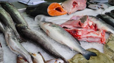 Bir süpermarkette buzda taze alabalık. Bir balık dükkanda taze balık.