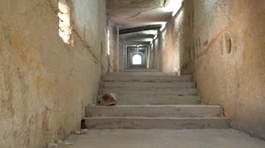 Valletta, Malta ortaçağ sokaklarında yürüyüş.