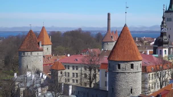 Tallinn Pnorama Eski Şehir Estonya Tallinn Harju Deki Ilçe Finlandiya — Stok video