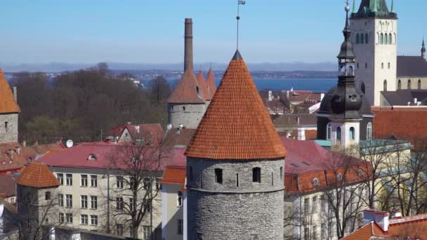Pnorama タリン旧市街 エストニア タリンはハリュ県フィンランドの湾の海岸に 国の北部の海岸に位置しています タリンの旧市街はヨーロッパで最高の保存状態の良い中世都市の一つです — ストック動画