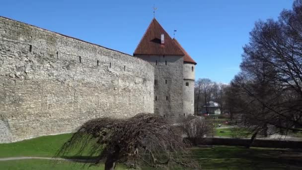 タリン Estonia Tallinn の古代の要塞壁はハリュ県フィンランドの湾の海岸に 国の北部の海岸沿いにあります タリンの旧市街はヨーロッパで最高の保存状態の良い中世都市の一つです — ストック動画