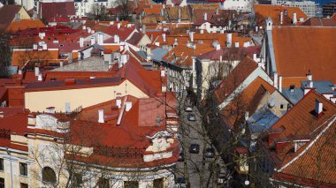 Tallinn Skyline, Estonya. Tallinn 'in hava görüntüsü. Tallinn eski şehir, Estonya.