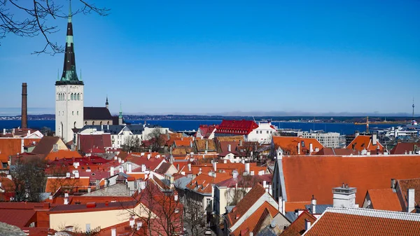 Tallinn Skyline Estonia Vista Aérea Estonia Tallin Ciudad Vieja Estonia — Foto de Stock