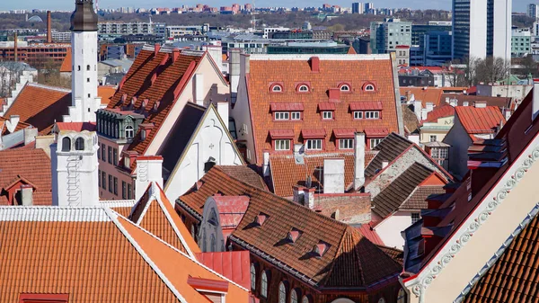 Tallinn Skyline Estonia Vista Aérea Estonia Tallin Ciudad Vieja Estonia — Foto de Stock