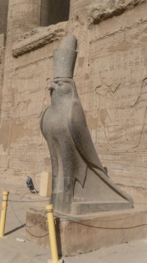 Edfu, Nil Nehri 'nin batı kıyısında Esna ve Aswan arasında yer alan bir Mısır şehridir. Edfu, Horus 'un Batlamyus Tapınağı ve antik bir yerleşim yeridir. Tüm tapınaklar E 'de kaldı.