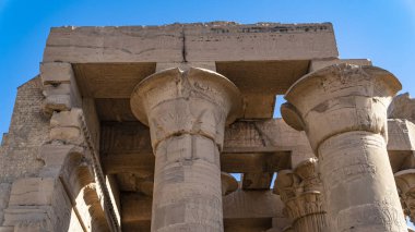 Kom Ombo Tapınağı. Kom Ombo, Mısır 'da Kom Ombo Tapınağı ile ünlü bir tarım kasabasıdır. Altın Şehir anlamına gelen Nubt adında bir Mısır şehriydi. Nubt ayrıca Nubet ya da Nubyt olarak da bilinir.-