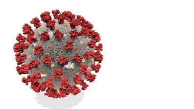Coronavirus SARS-CoV-2 Wuhan. Mikroskop altında virüsler. Solunum virüsü, SARS, MERS, COVID 19. Bakteri virüsü ya da mikroorganizma hücreleri mikroskop altında. 3d oluşturma