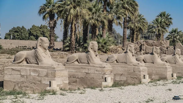 Luxor Tempel Luxor Ägypten Luxor Tempel Ist Ein Großer Altägyptischer — Stockfoto