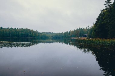 Finlandiya 'daki gölde temiz su