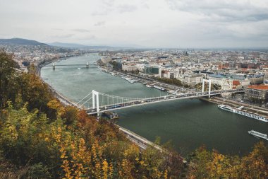 Tuna Nehri 'nden geçen Özgürlük Köprüsü. Budapeşte Macaristan