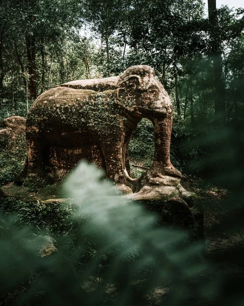 Phnom Kulen 'deki eski fil heykeli, Siem Reap, Kamboçya