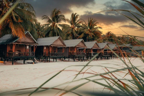 Kamboçya 'da Koh Rong adası, Tropik palmiye ağaçları ve tıkanıklık.