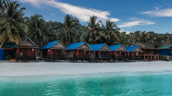 Kamboçya 'da Koh Rong adası, Tropik palmiye ağaçları ve tıkanıklık.