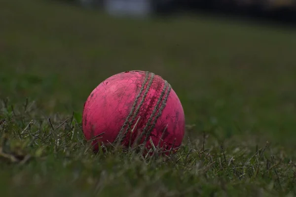 Fotografie Červeného Koženého Kriketového Míčku Švy Trávě Kriketový Míček Zelené — Stock fotografie