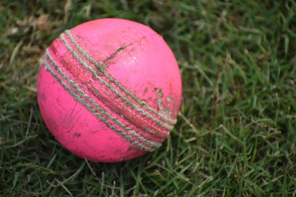 Photo of a red leather cricket ball with stitched seams on grass, cricket ball on green grass pitch with copy space, Close up Cricket ball on pitch with copy space