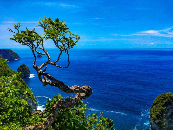 インドネシアのバリ島ヌサペニダ バリ島ヌサペニダ島のマンタベイまたはケリングビーチ ヌサペニダはバリで最も有名な観光名所の一つです — ストック写真