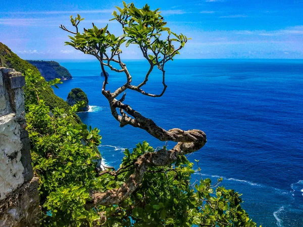 Nusa Penida Bali Indonezja Zatoka Manta Lub Kelingking Beach Wyspie — Zdjęcie stockowe