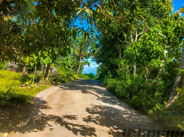 Strada Attraverso Una Giungla Sull Isola Nusa Penida Indonesia Colline — Foto Stock