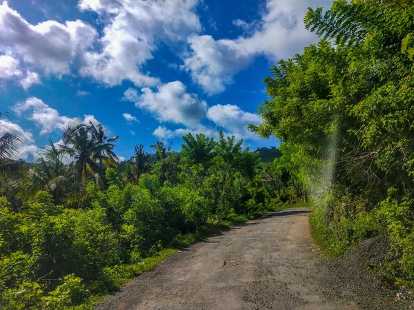 Weg Door Een Jungle Nusa Penida Eiland Indonesië Frisse Gele — Stockfoto