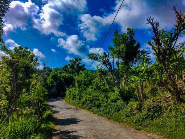 Road Jungle Nusa Penida Island Indonesia Fresh Yellow Coloured Hills — Stock Photo, Image