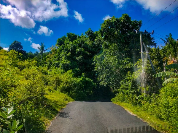 Дорога Через Джунгли Острове Нуса Пенида Индонезия Холмы Желтого Цвета — стоковое фото
