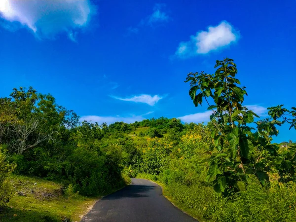 Road Jungle Nusa Penida Island Indonesia Fresh Yellow Coloured Hills — Stock Photo, Image