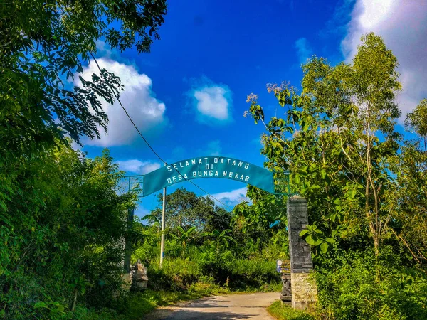 Weg Door Een Jungle Nusa Penida Eiland Indonesië Frisse Gele — Stockfoto