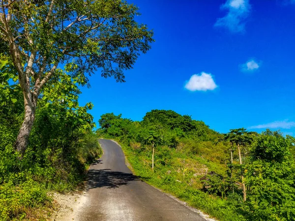 Road Jungle Nusa Penida Island Indonesia Fresh Yellow Coloured Hills — Stock Photo, Image
