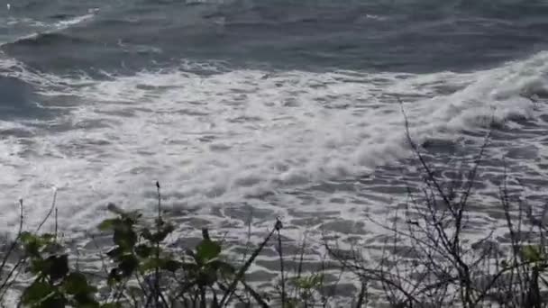 Hindoe Tempel Pura Tanah Lot Zonsondergang Bali Indonesië Tanah Lot — Stockvideo