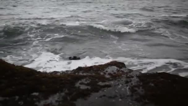 Hindu Tempel Pura Tanah Lot Och Solnedgång Bali Indonesien Tanah — Stockvideo