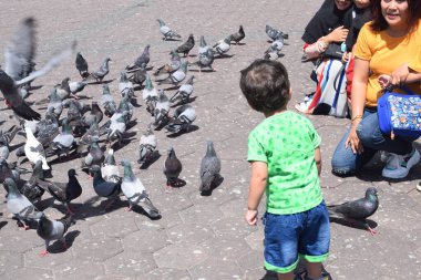 Küçük tatlı çocuk Malezya 'daki Batu Mağaraları Tapınağı' nın yakınlarında poz veriyor.