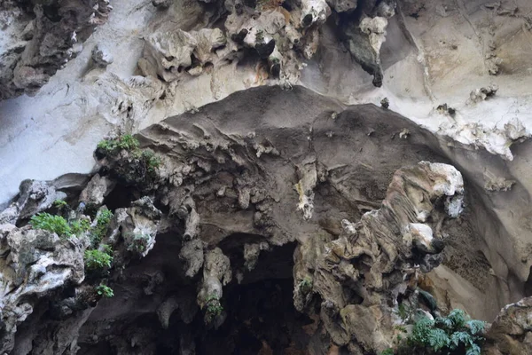 동굴은 밖에서 신전이다 위풍당당 말레이시아 콸라룸푸르 근처에 스러운 — 스톡 사진