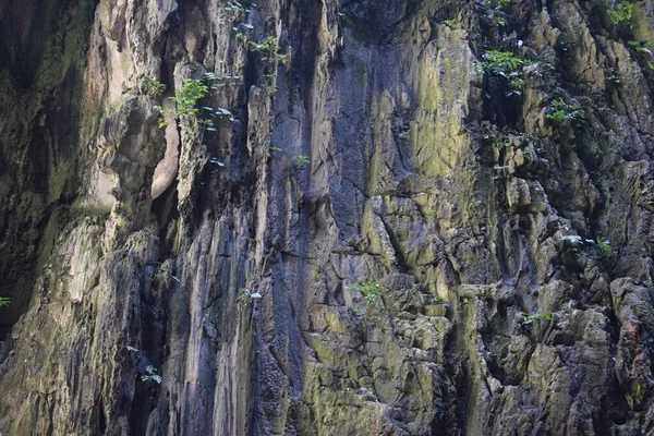 Cavernas Batu Maior Templo Hindu Fora Índia Vista Sobre Estátua — Fotografia de Stock