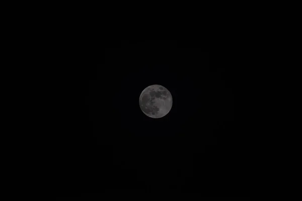自然を背景に 曇り空と明るいスーパームーン 曇りの日に空に輝く満月の魅力的な写真 — ストック写真