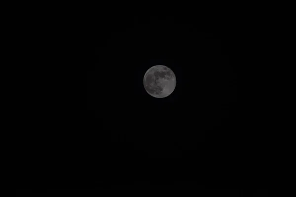 自然を背景に 曇り空と明るいスーパームーン 曇りの日に空に輝く満月の魅力的な写真 — ストック写真