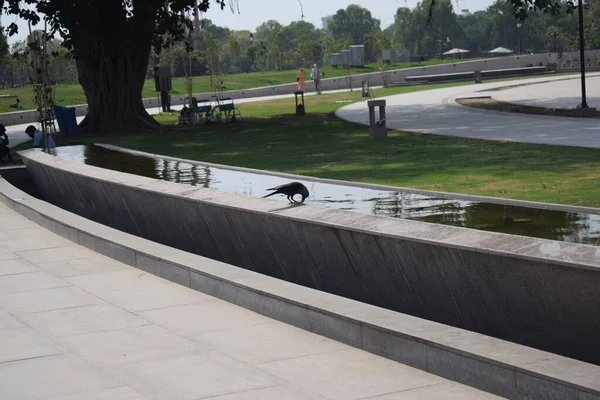 Delhi Deki Ulusal Savaş Anıtı Nın Manzarası Savaş Anıtı Nın — Stok fotoğraf