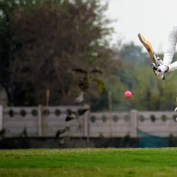 Full Length Cricketer Playing Field Sunny Day Cricketer Field Action — Stock Photo, Image